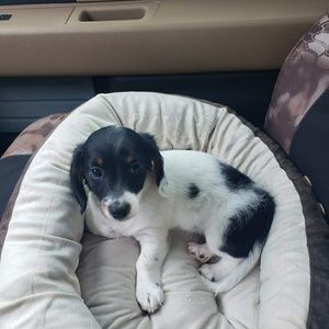 Meet your Posher, Marie